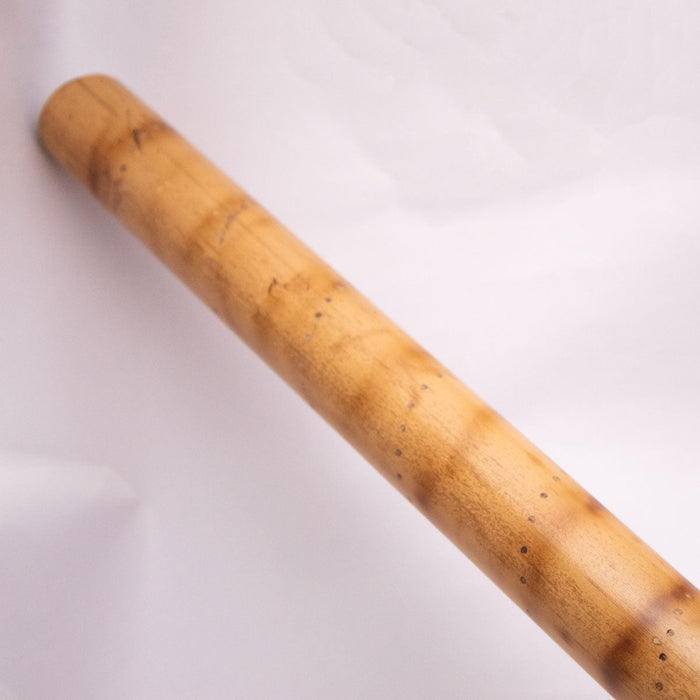 Bamboo Rainstick