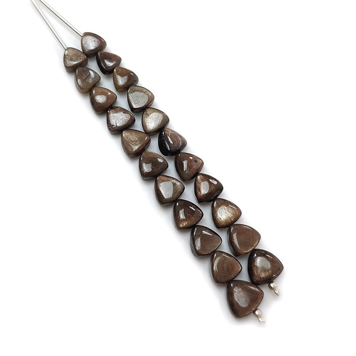 Golden Chocolate Sapphire Smooth Loose Beads: 65.70cts Natural Untreated Unheated Sapphire Gemstone Trillion Beads 7mm - 9mm 3.25" Strand