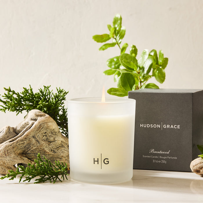Hudson Grace Brentwood Scented Candle in a frosted glass vessel with a black box, driftwood, and greenery.