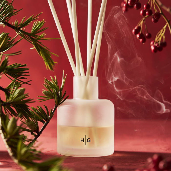 Hudson Grace Winter Scented Reed Diffuser with white reeds, frosted glass, and HG logo on red background.
