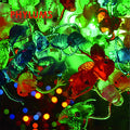 Phylums - Phylum Phyloid - New LP