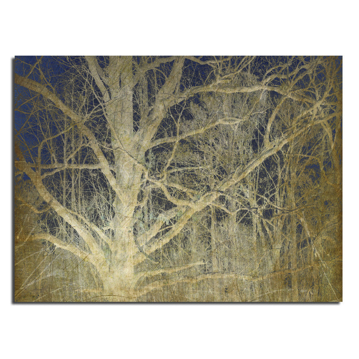 Ready2HangArt Indoor/Outdoor Wall Décor 'Antiquated Grain No. 2' in ArtPlexi by NXN Designs