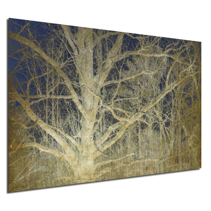 Ready2HangArt Indoor/Outdoor Wall Décor 'Antiquated Grain No. 2' in ArtPlexi by NXN Designs