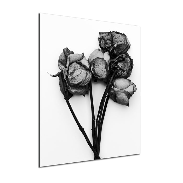Ready2HangArt Indoor/Outdoor Wall Décor 'Memories of You No. 2' in ArtPlexi by NXN Designs