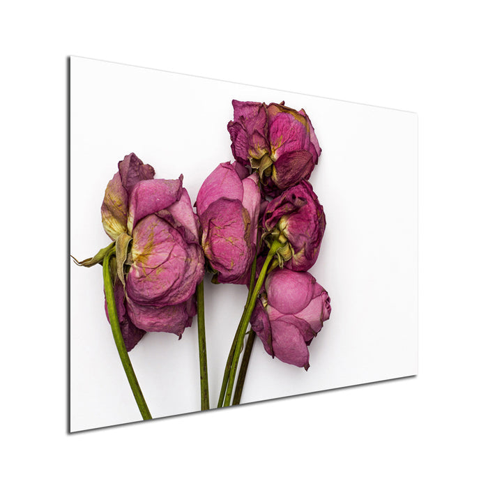Ready2HangArt Indoor/Outdoor Wall Décor 'Thinking of You No. 3' in ArtPlexi by NXN Designs